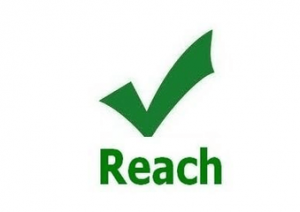 REACH法规第19批SVHC候选物质正式公布
